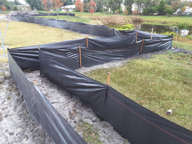 Christian Brothers Auto - Oveido, Florida