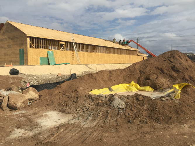 Christian Brothers Auto - Temple, Texas