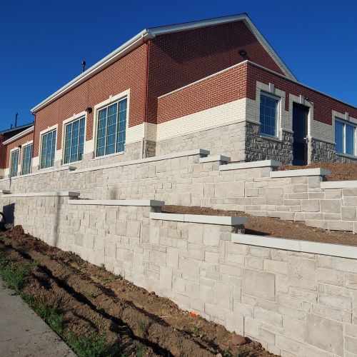 Christian Brothers Auto - Wheat Ridge, Colorado