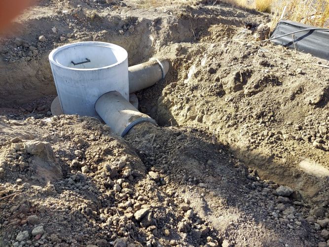 Christian Brothers Auto - Wheat Ridge, Colorado