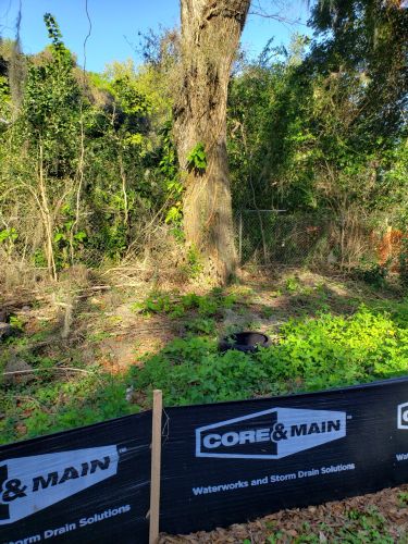 Christian Brothers Automotive - Brandon, Florida