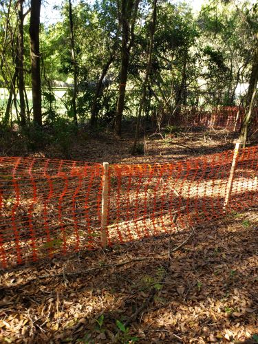 Christian Brothers Automotive - Brandon, Florida