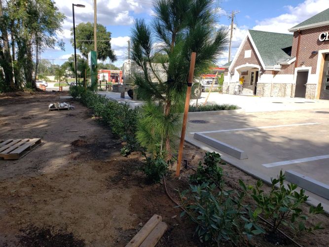 Christian Brothers Automotive - Brandon, Florida