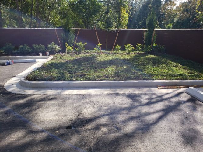 Christian Brothers Automotive - Brandon, Florida