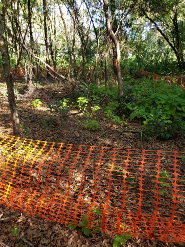 Christian Brothers Automotive - Brandon, Florida