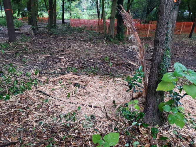 Christian Brothers Automotive - Brandon, Florida