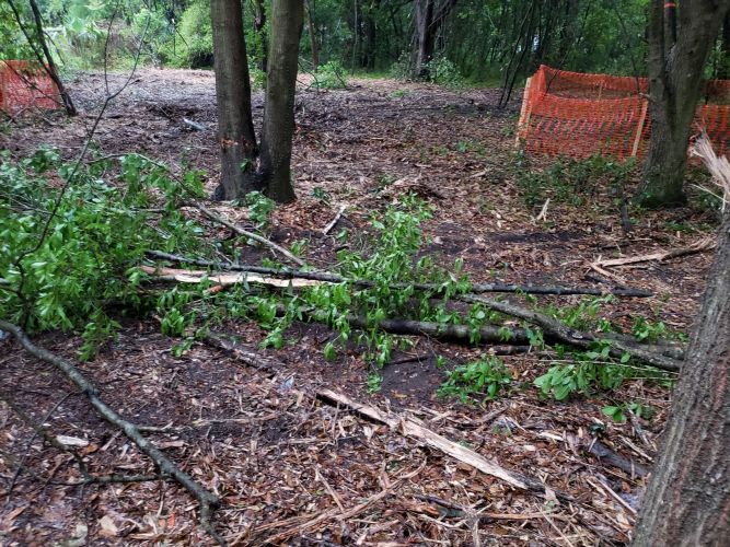 Christian Brothers Automotive - Brandon, Florida