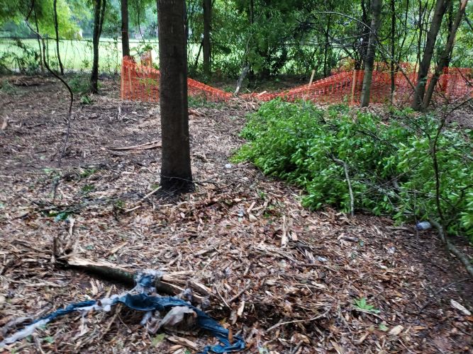 Christian Brothers Automotive - Brandon, Florida