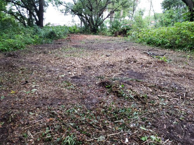 Christian Brothers Automotive - Brandon, Florida