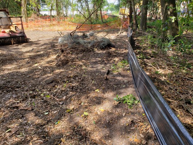 Christian Brothers Automotive - Brandon, Florida