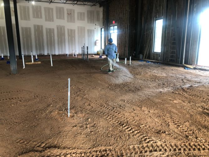 Firebirds Wood Fired Grill