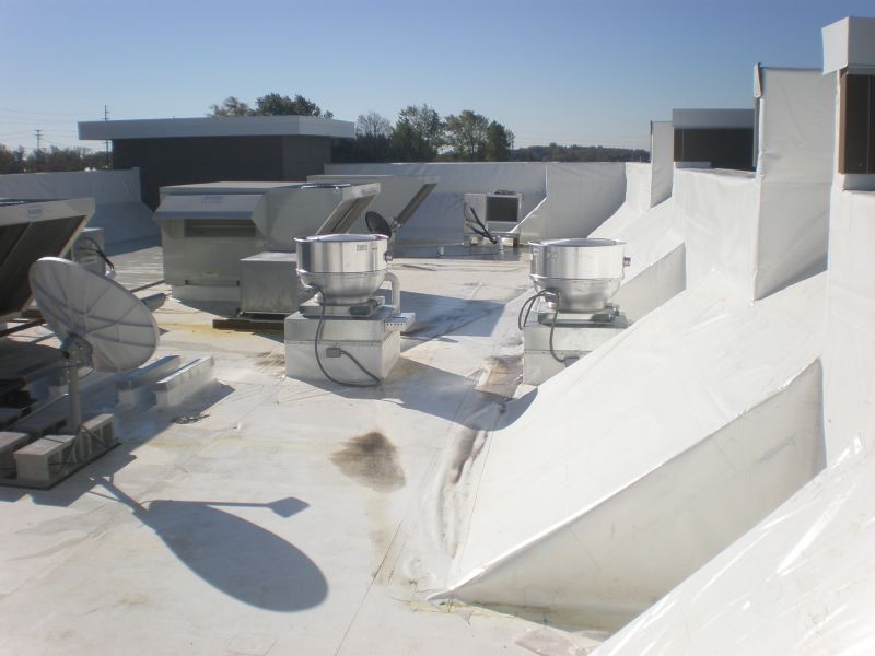 Wendy's - Fishers, Indiana