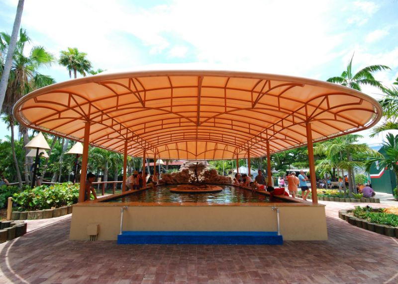 Theme Park Attraction Canopy