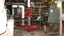 Featured Image 4