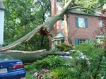 Storm Damage Clean up - Chevy Chase