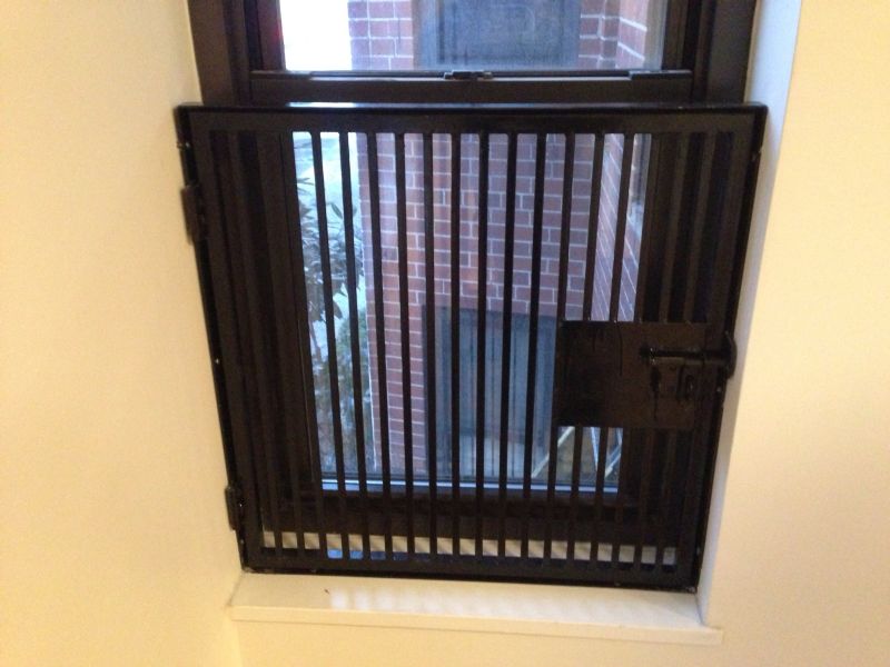 WINDOW GUARD