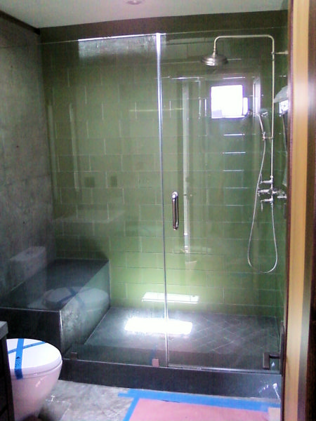 Frameless Shower Door