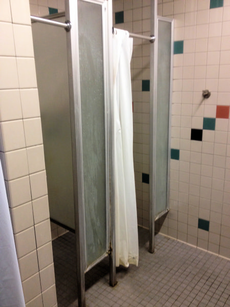 Cummings Construction Shower Partition (Before)