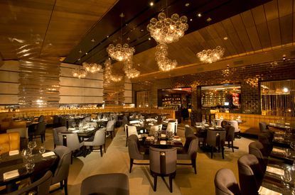 Meat Market in Tampa Fl & Currently in Boca Raton