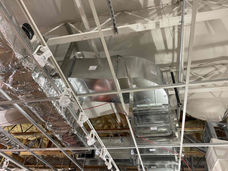 Recent Projects & Services