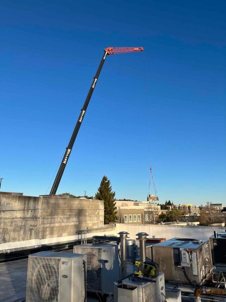 Recent Projects & Services