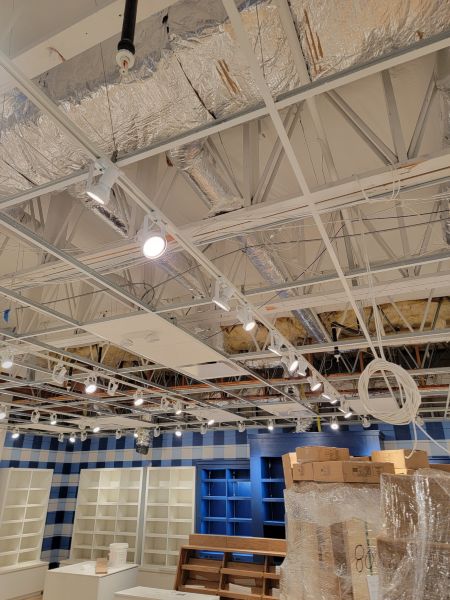 Recent Projects & Services