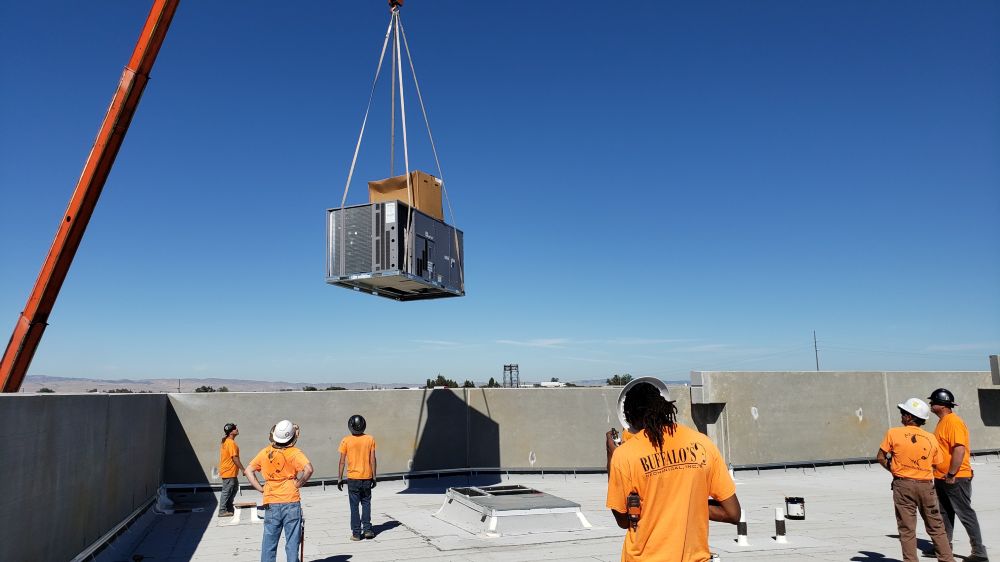 Recent Projects & Services