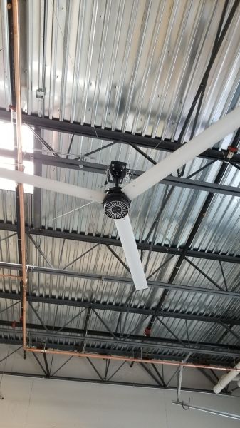 Recent Projects & Services