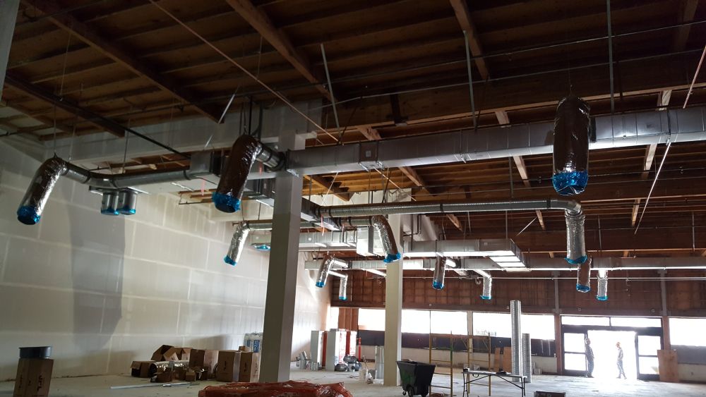 Recent Projects & Services