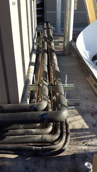 Recent Projects & Services