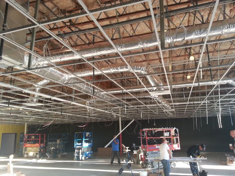 Recent Projects & Services