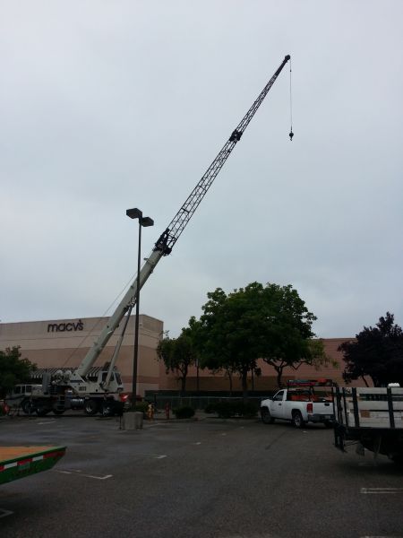 Recent Projects & Services