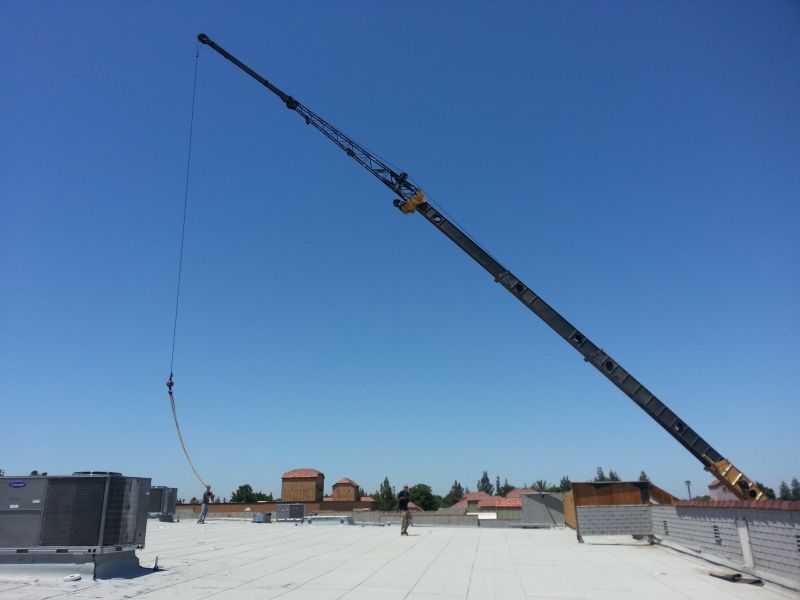 Recent Projects & Services