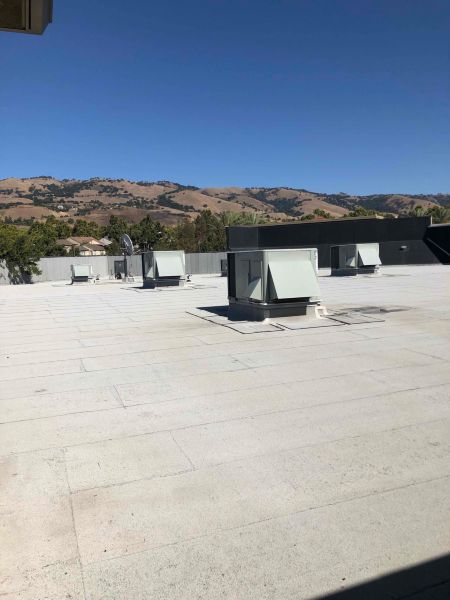 Recent Projects & Services