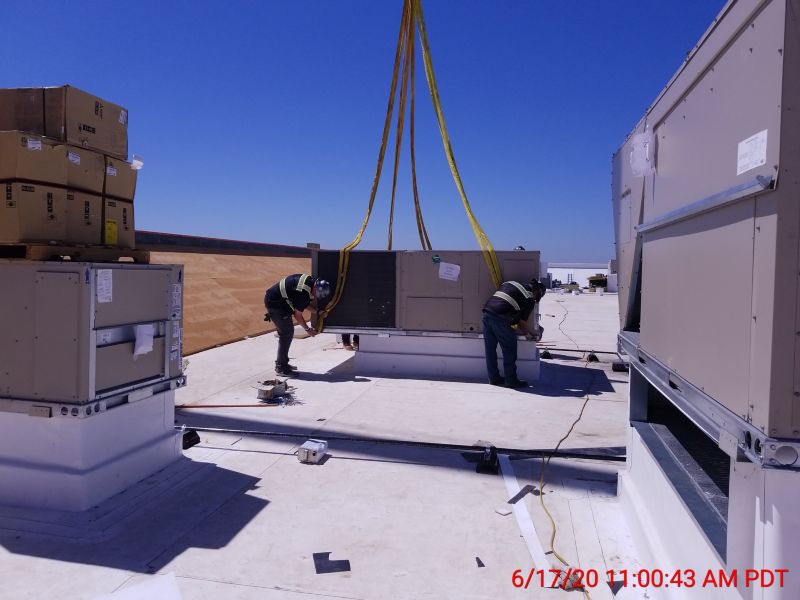 Recent Projects & Services