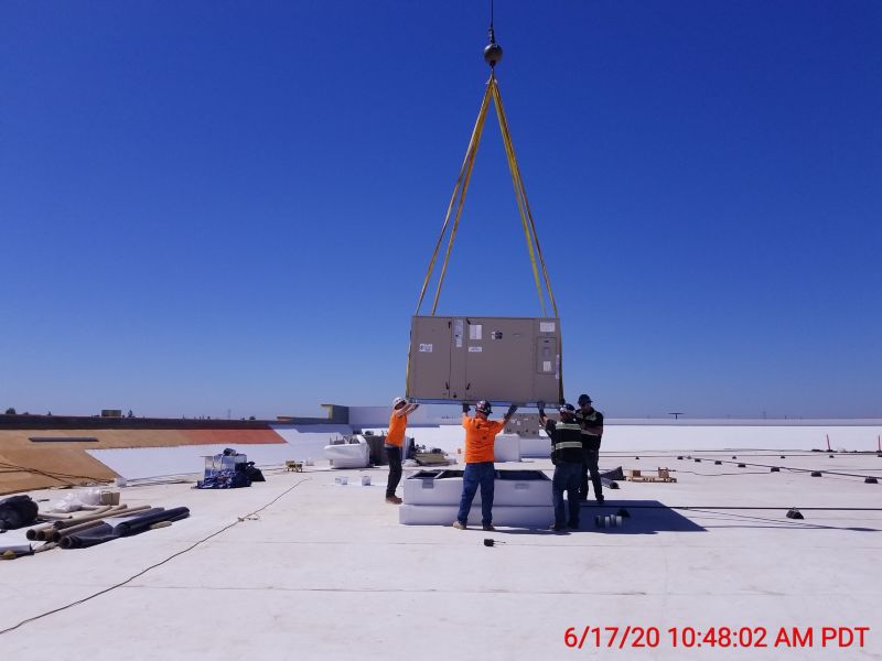 Recent Projects & Services