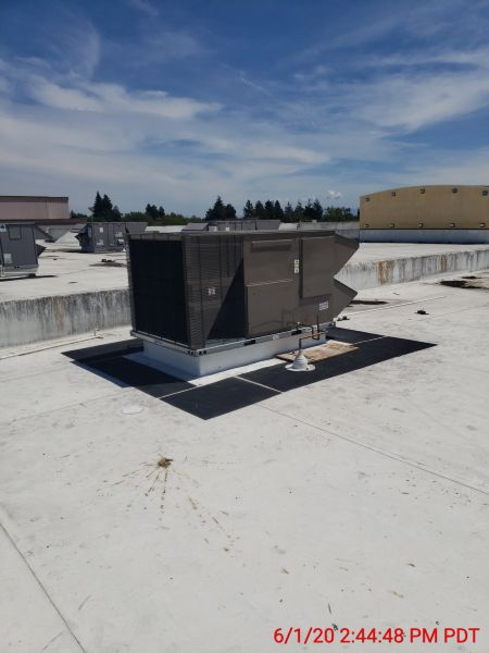 Recent Projects & Services