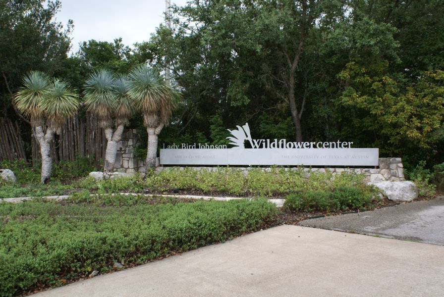 UT Wildflower Center
