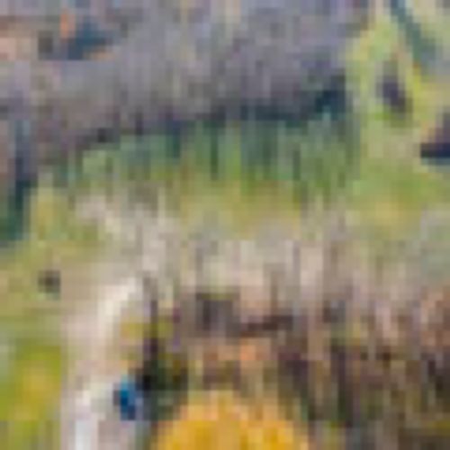 Genacross Youth Group Home