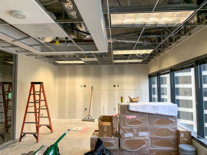 Deloitte March 2020-
