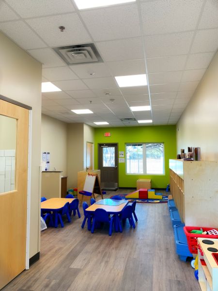 School / College / University