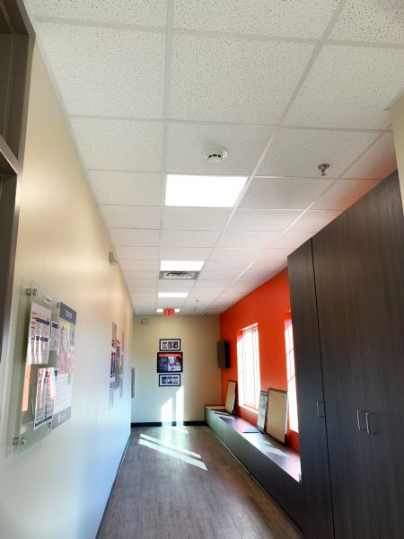 School / College / University