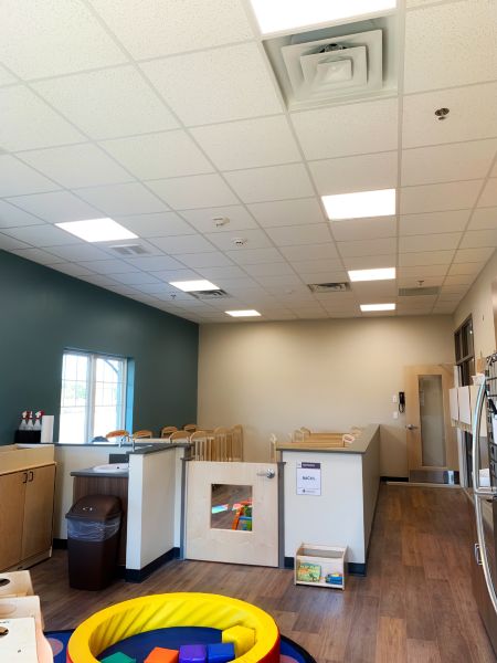 School / College / University