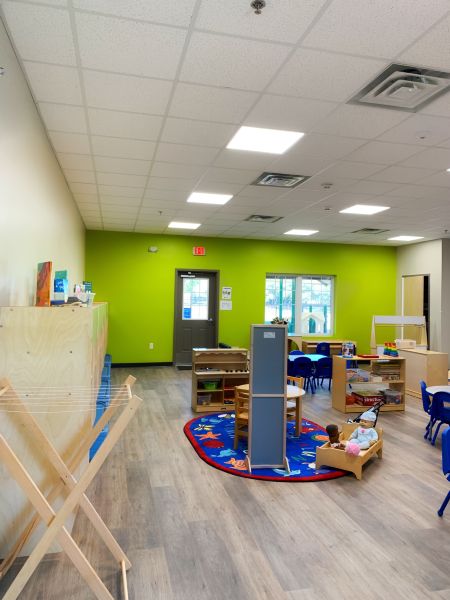 School / College / University