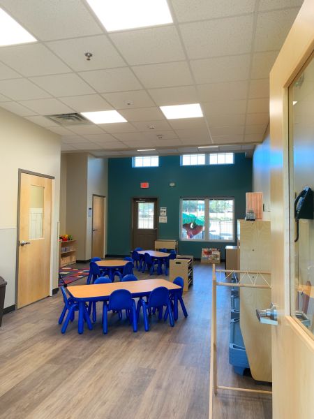 School / College / University