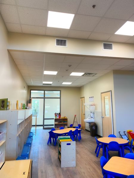 School / College / University