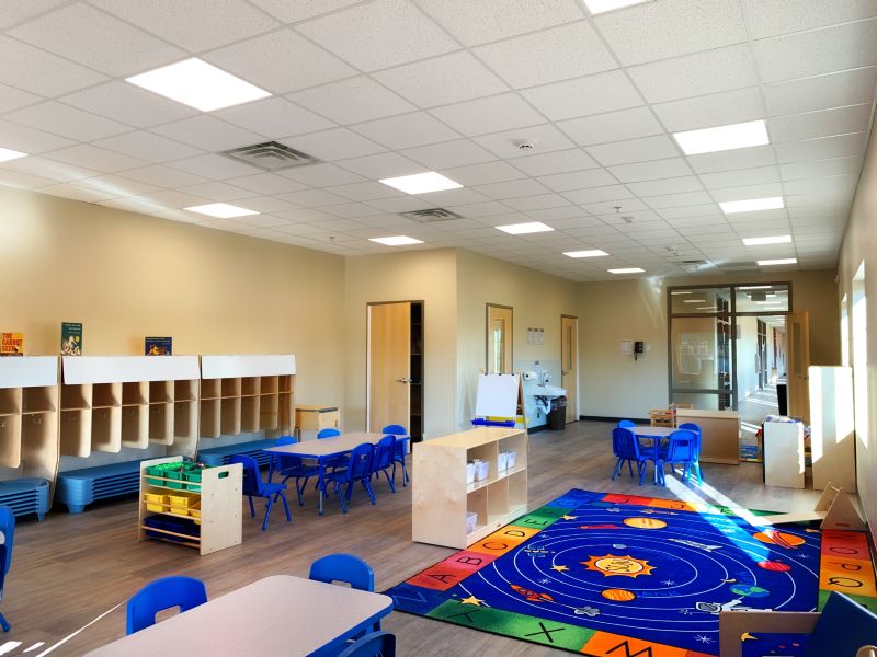 School / College / University