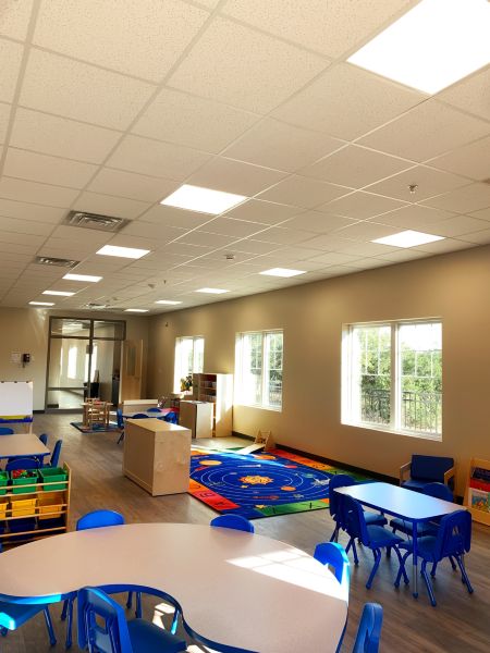 School / College / University