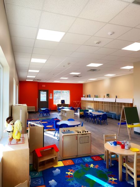 School / College / University