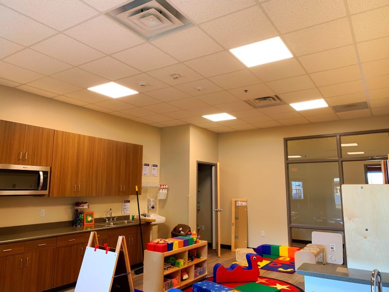 School / College / University